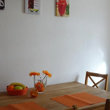 Ferienwohnung In Der Elstermuhle Lägenhet Plessa